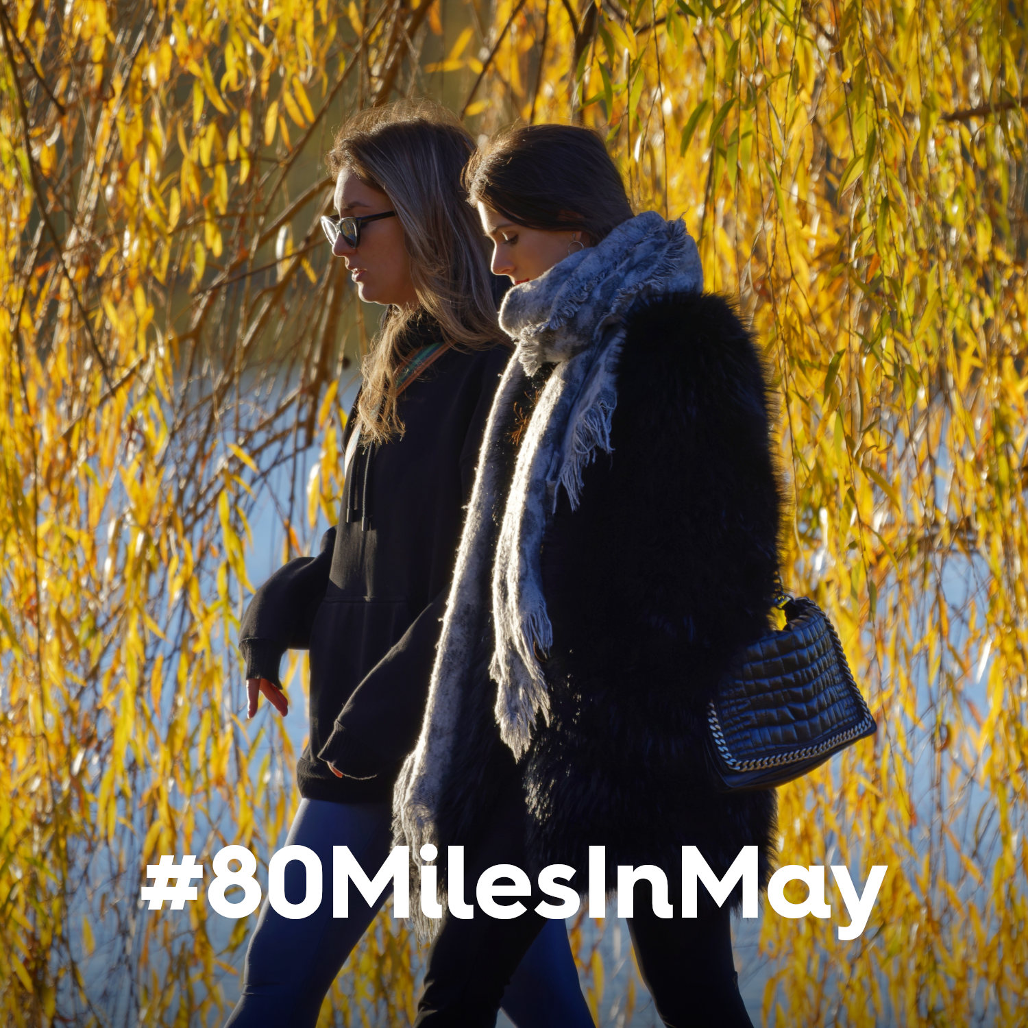 80MilesInMay