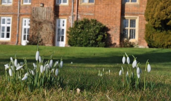 Snowdrops at Bourn Hall